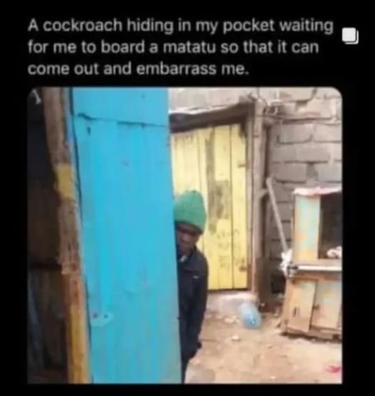 A cockroach hiding in my pocket waiting jor me 0 board a malalu so thatit can co