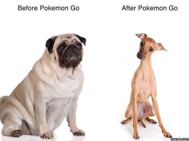 Before pokemon go after pokemon go memeacom