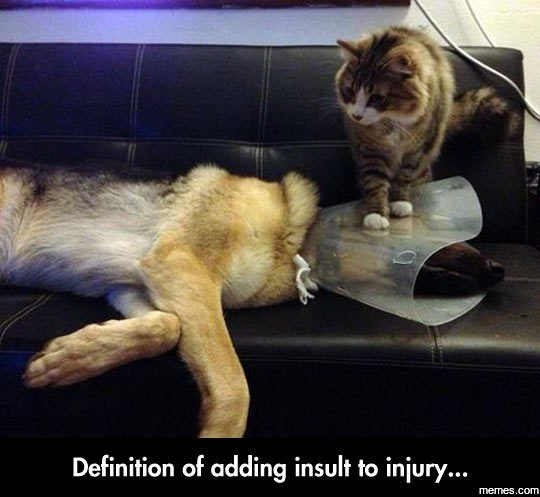 Definition of adding insult to injury memes com