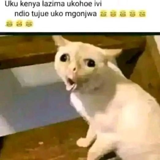 Uku kenya lazima ukohoe ivi ndio tujue uko mgonjwa