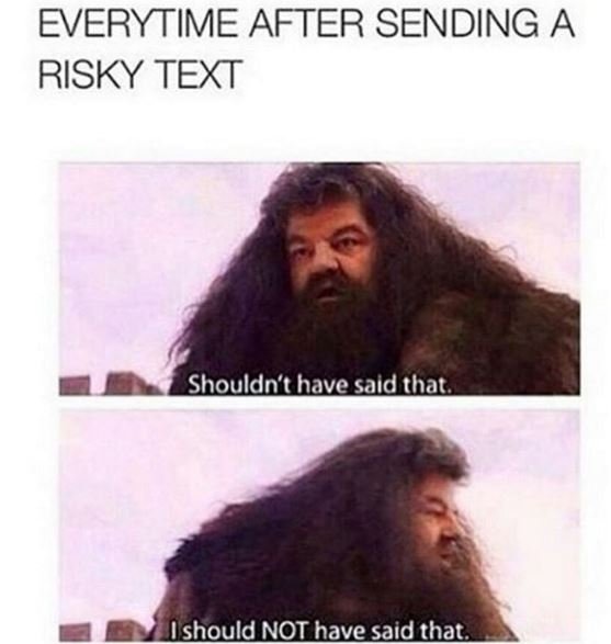 Everytime after sending a risky text shouldnthave saldthat ishould noi have said