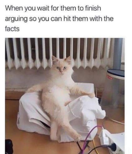 When you wait for them to finish arguing so you can hit them with the facts