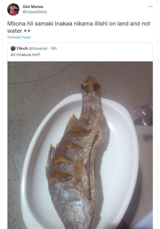 Gini marwa faiyeestella mbona hii samaki inakaa nikama iliishi on land and not w