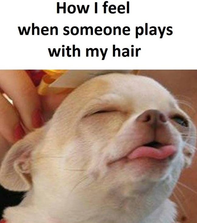 How feel when someone plays with my hair