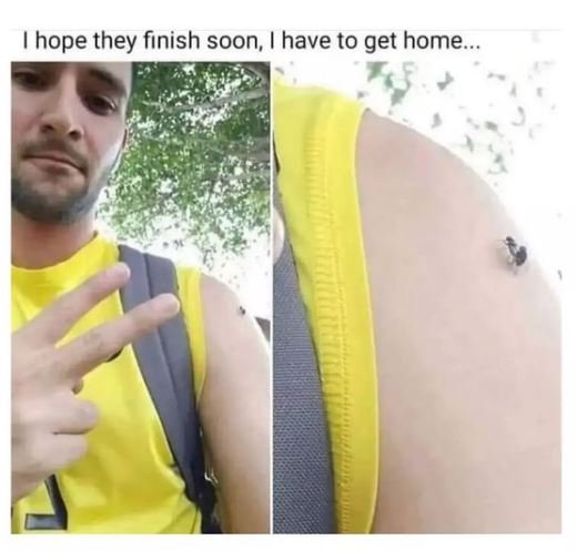 hope they finish soon have to get home