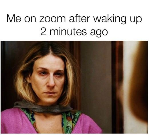 Me on zoom after waking up 2 minutes ago