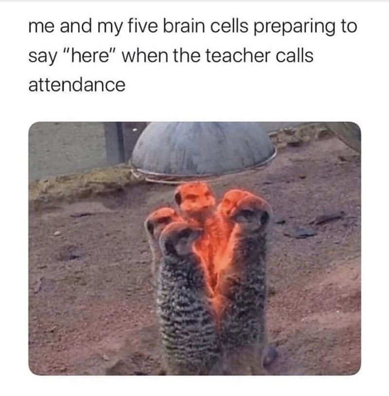 Me and my five brain cells preparing to say here when the teacher calls attendan