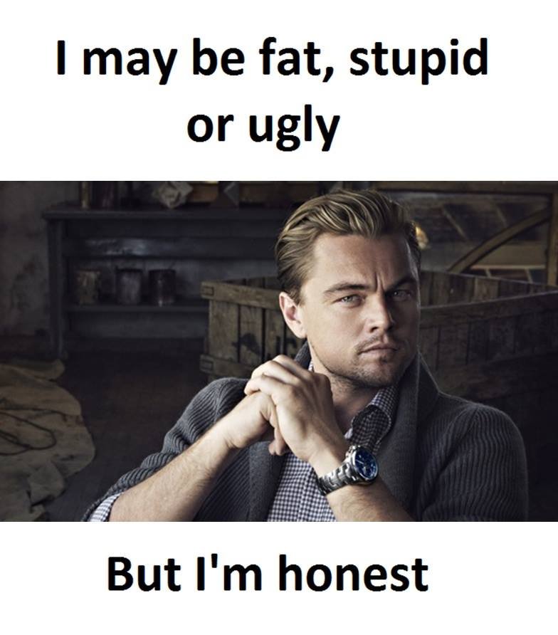 May be fat, stupid or ugly but i'm honest