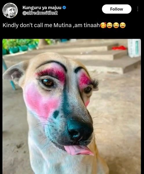 Kunguru ya majuu aliieduufuke2 follow kindly don't call me mutina am tinaah