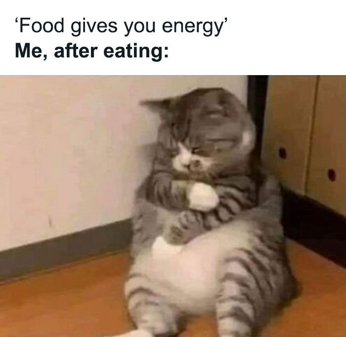 Food gives you energy' me, after eating