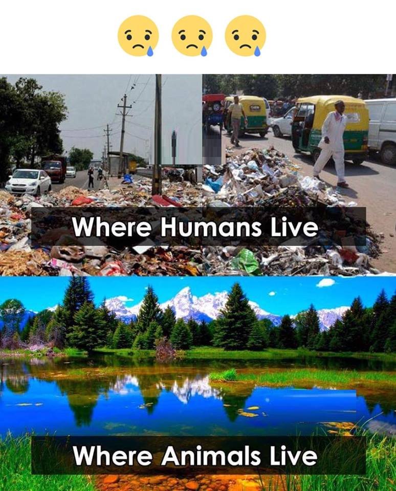 Where humans live where animals live