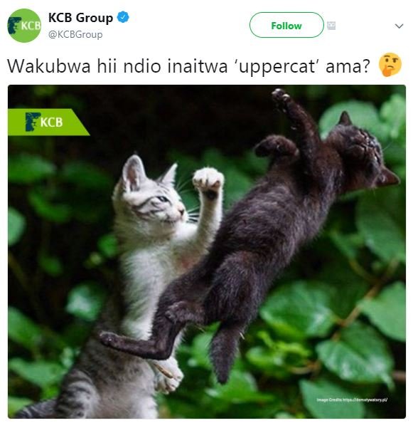 Kcb group kcb kcbgroup follow wakubwa hii ndio inaitwa 'uppercat' ama? kcb an