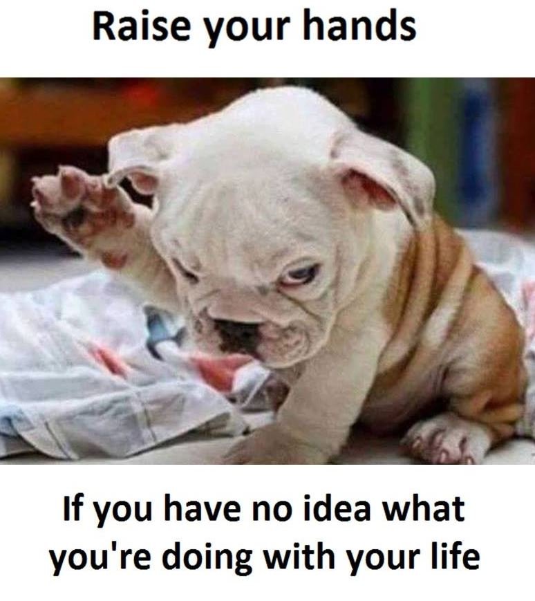 Raise your hands if you have no idea what you're doing with your life