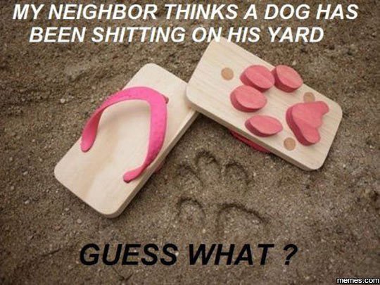 My neighbor thinks a dog has been shitting on his yard guess what ? jenes
