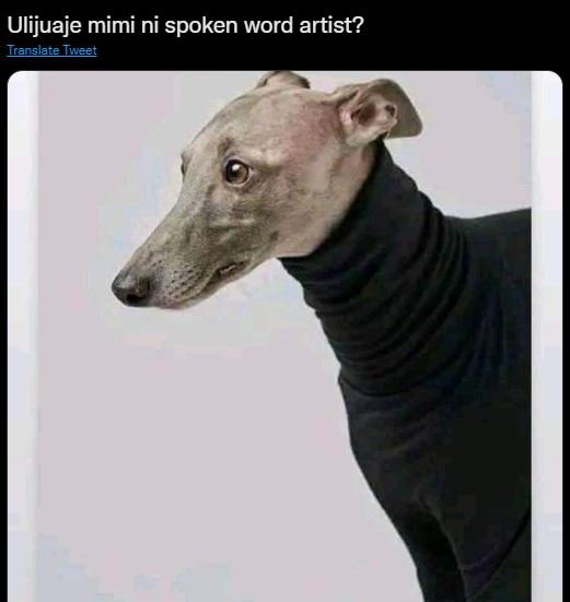 Ulijuaje mimi ni spoken word artist? iranslate_ tweet