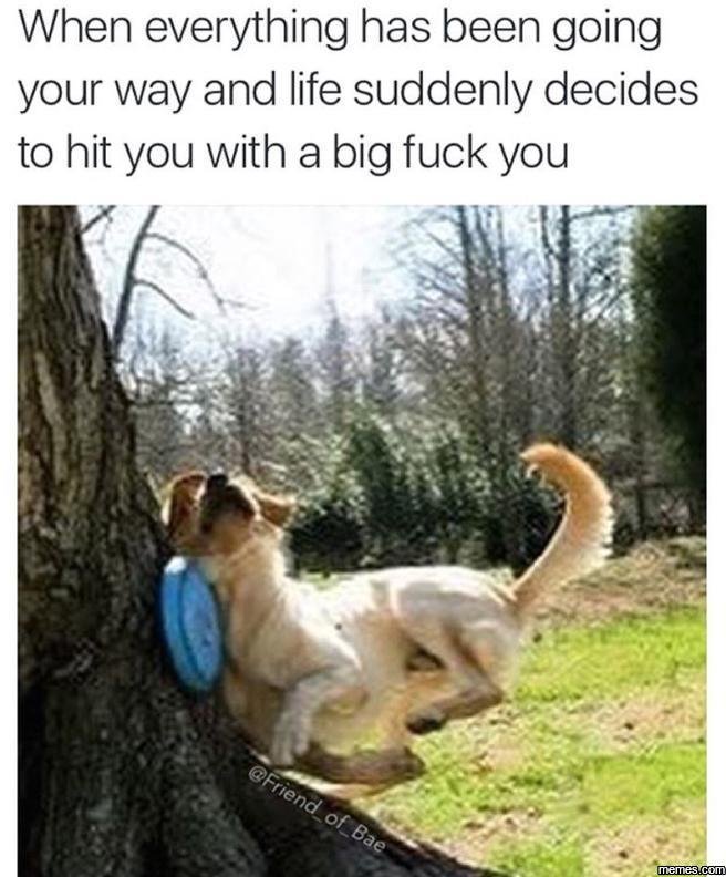 When everything has been going your way and life suddenly decides to hit you wit