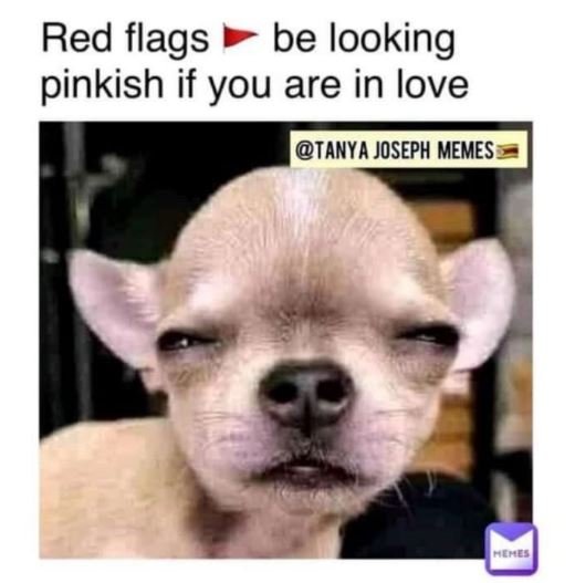 Red flags be looking pinkish if you are in love tanya joseph memes