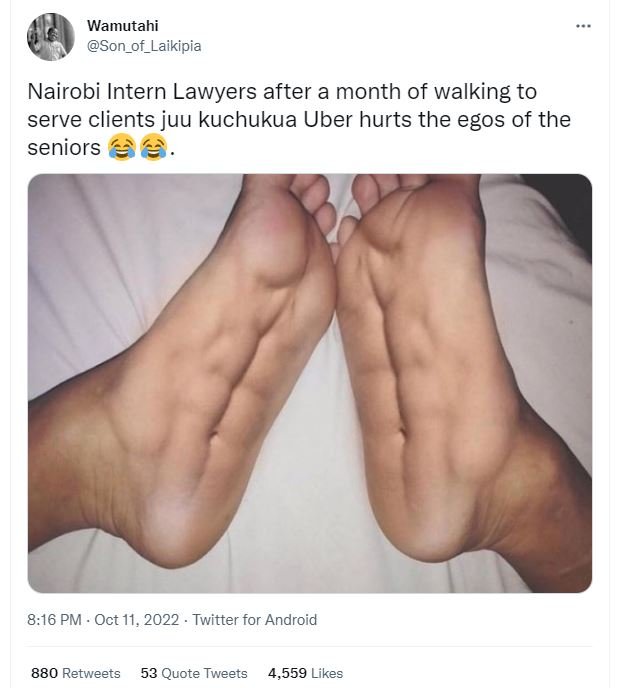 Wamutahi son_of_laikipia nairobi intern lawyers after a month of walking to serv