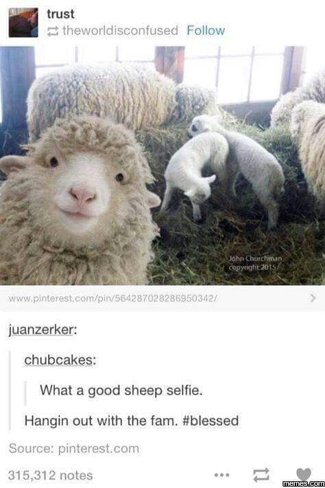 Trust 2 theworldisconfused follow ol chuchun copyuhe pinterest com in 12 juanzer