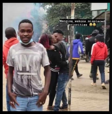 Anainc hokona alaplaco glor1 y