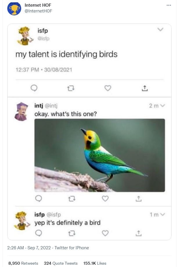 Internet hof internethof isfp stp my talent is identifying birds 12.37 pm 3008 i