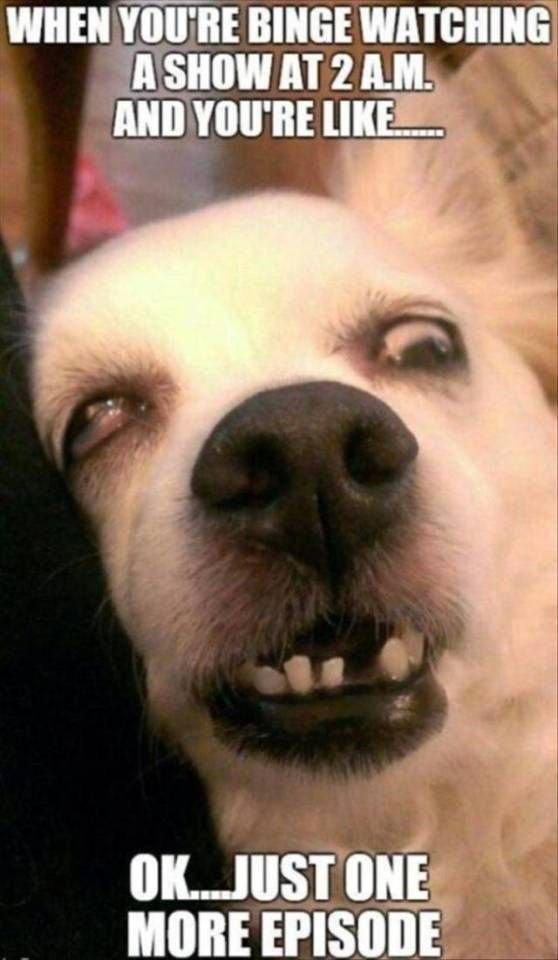 When voure binge watching ashowat2am andyoure like okjustone more episode