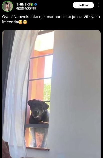 Shinski njondokoo follow oyaa! nabweka uko nje unadhani niko jaba_ vitz yako ime