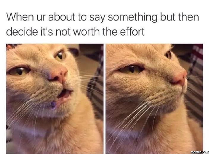 When ur about to say something but then decide it's not worth the effort memes