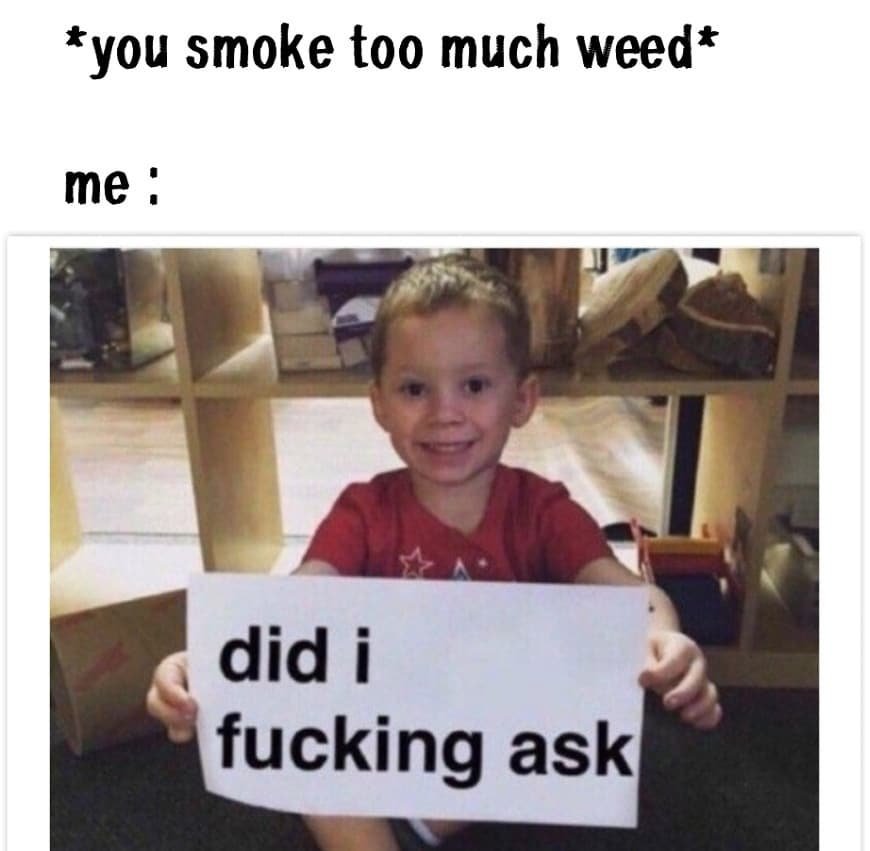You smoke too much weed me did i fucking askl