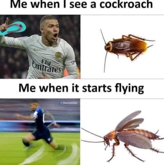 Me when see a cockroach emirares ely me when it starts flying