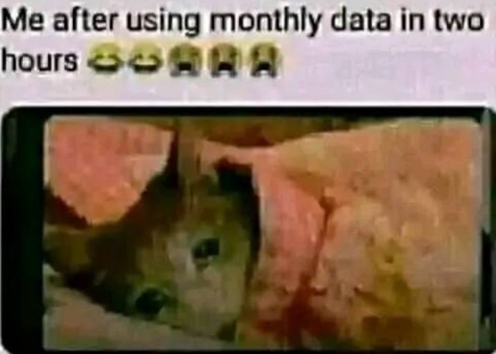 Me alter using monthly data in two hours