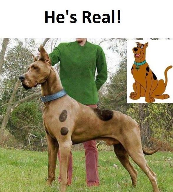 He's real!