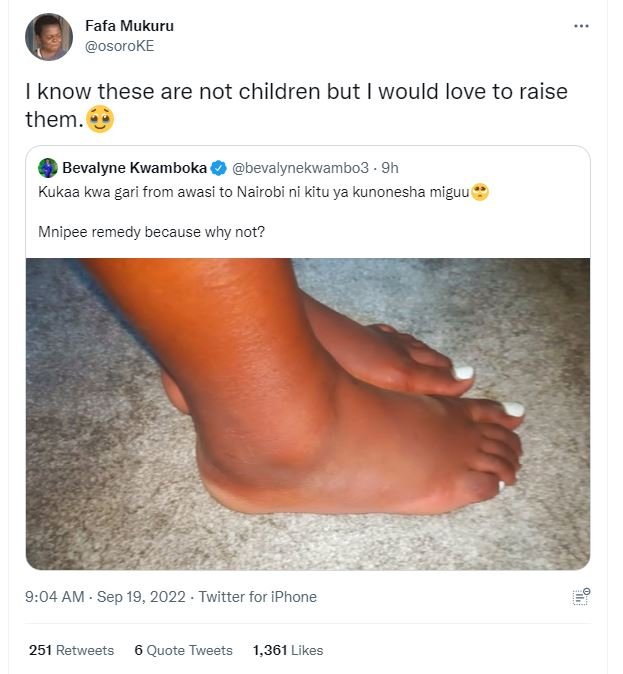 Fafa mukuru osoroke know these are not children but would love to raise them bev