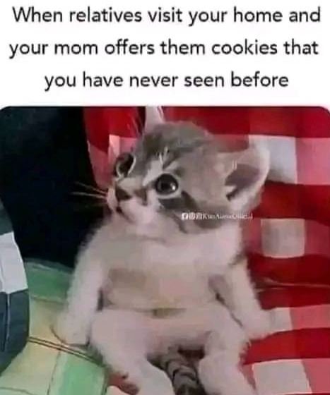 When relatives visit your home and your mom offers them cookies that you have ne