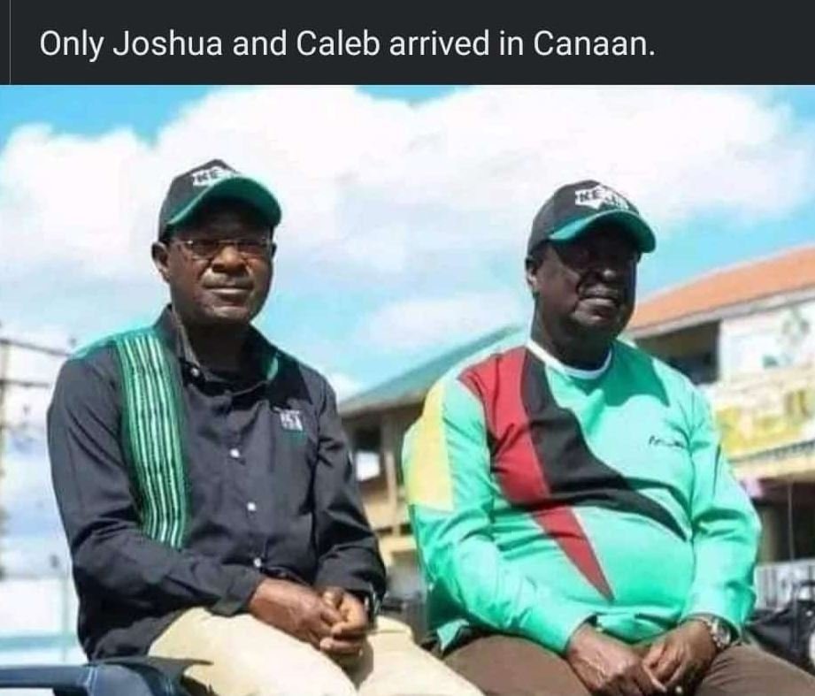 Only joshua and caleb arrived in canaan.