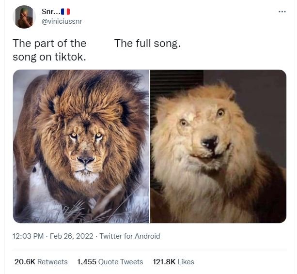 Snr. viniciussnr the part of the song on tiktok. the full song 12.03 pm . feb 26