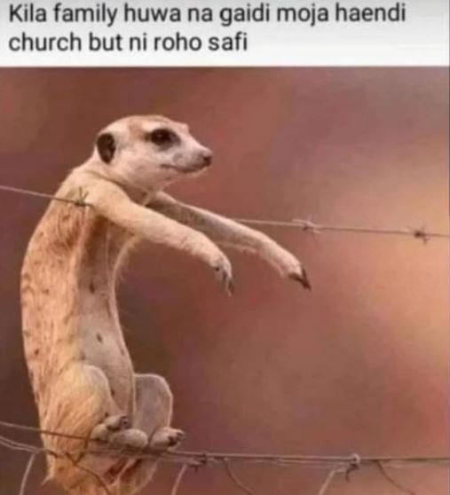 Kila family huwa na gaidi moja haendi church but ni roho safi