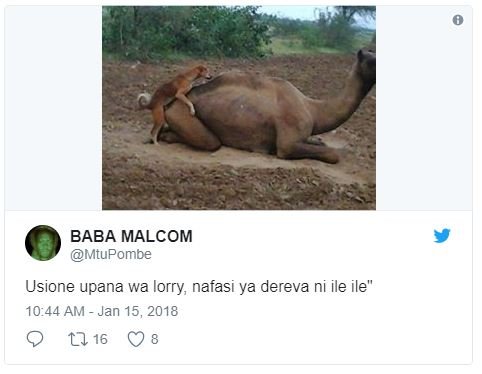 Baba malcom mtupombe usione upana wa lorry nafasi ya dereva ni ile ile 10.44 am