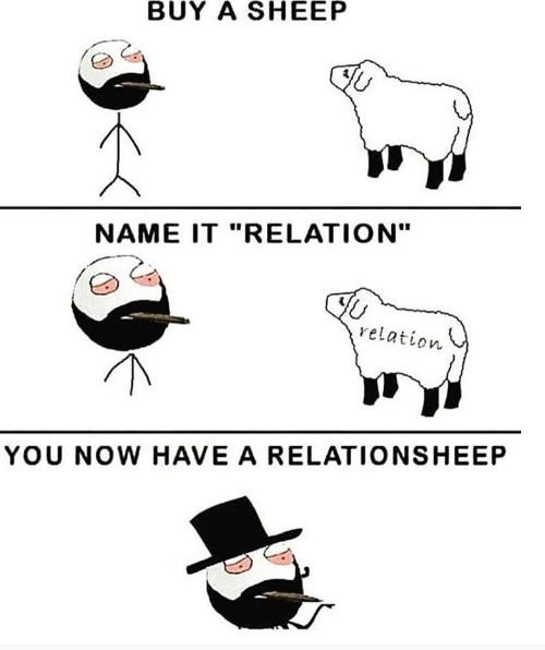 Buy a sheep name it relation you now have a relationsheep yeleticv