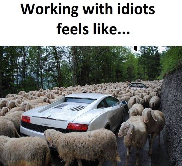 Working with idiots feels like...