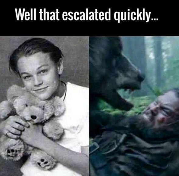 Well that escalated quickly .