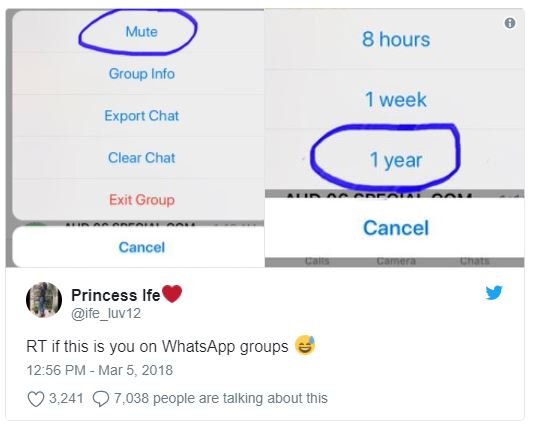 Mute 8 hours group info week export chat clear chat year exit group cancel cance