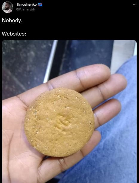 Timoshenko Kianangih Nobody Websites