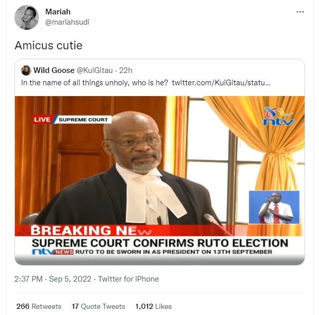 Mariah mariahsudi amicus cutie wild goose kuigitau 22h in the name of all things