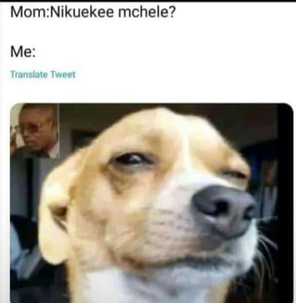 Momnikuekee mchele? me tronslote twcet