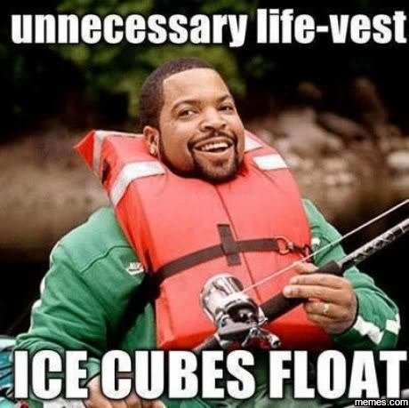 Unnecessary lifevest ice cubes float com