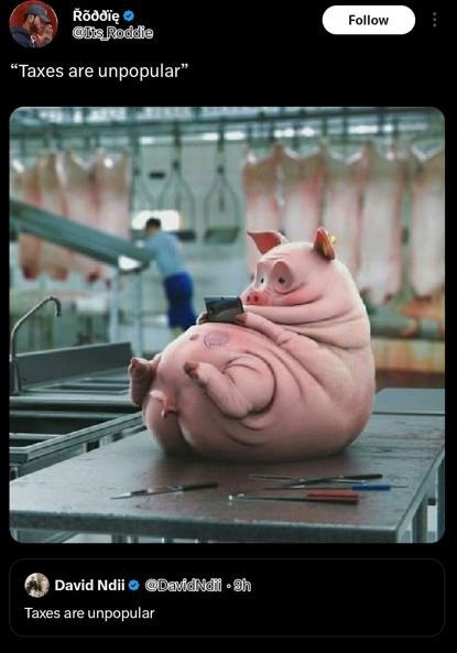 Rãdmię iis roddle follow taxes are unpopular david ndii datcndti h taxes are unp