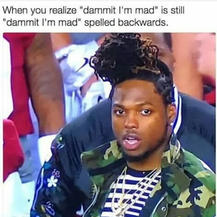 When you realize dammit i'm mad is still dammit i'm mad spelled backwards.