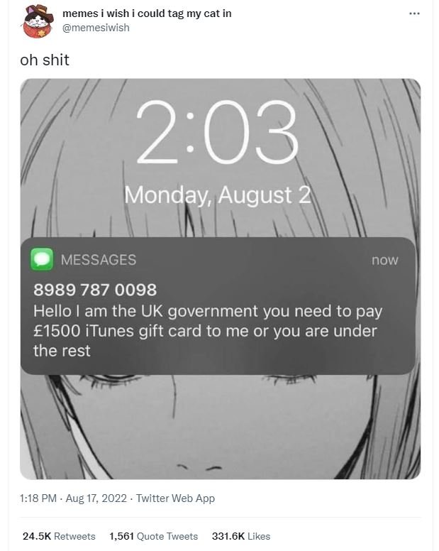 Memes wish could tag my cat in memesiwish oh shit 203 monday august 2 messages n