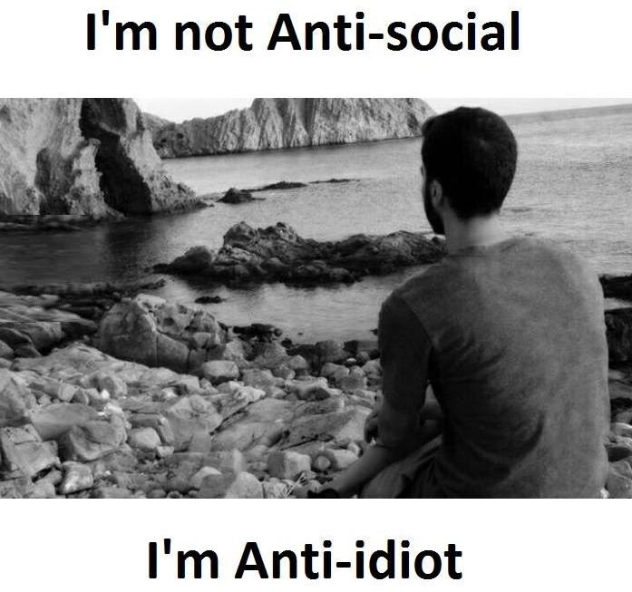 I'm not antisocial i'm antiidiot